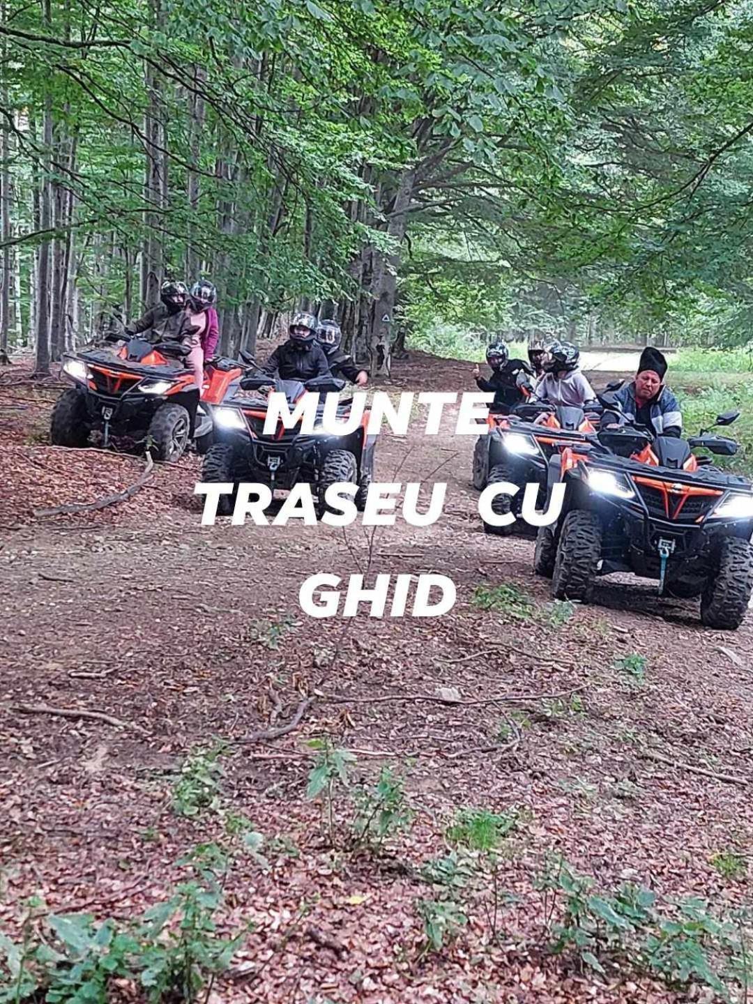 Agropensiunea Darden Baia de Fier Esterno foto